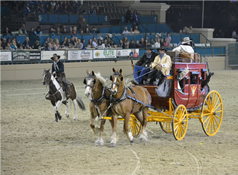 Campo Wagon