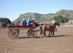 Campo Wagon