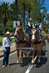 Fiesta Parade