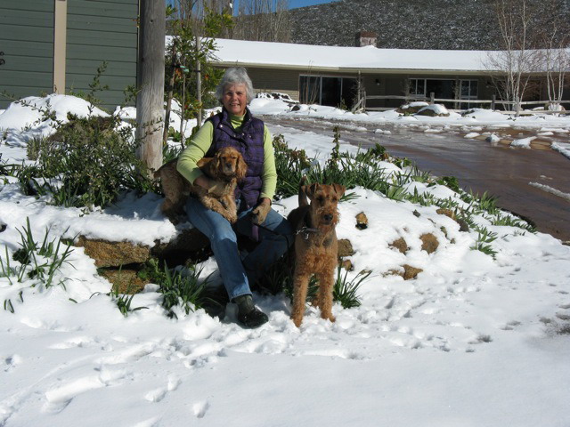 Sioux and pets